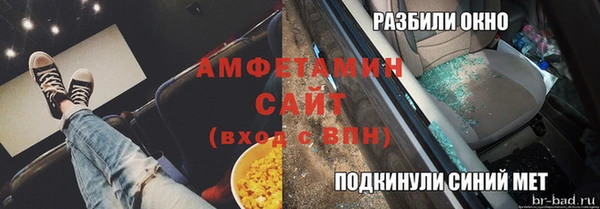 индика Гусев