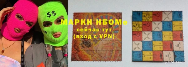индика Гусев
