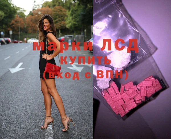 индика Гусев