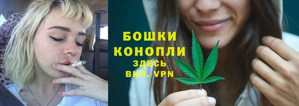 не бодяженный Гусь-Хрустальный