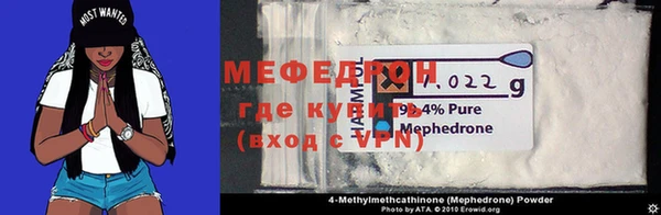 индика Гусев