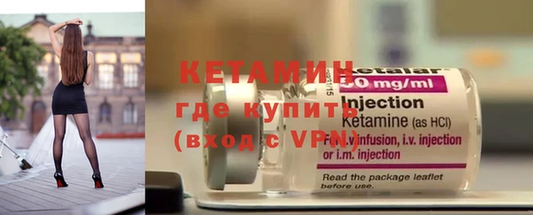 индика Гусев