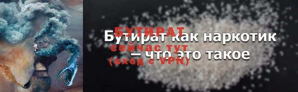 индика Гусев
