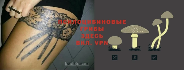 индика Гусев