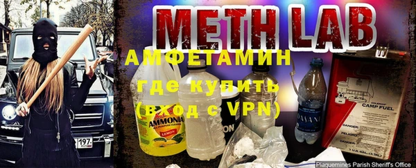 индика Гусев