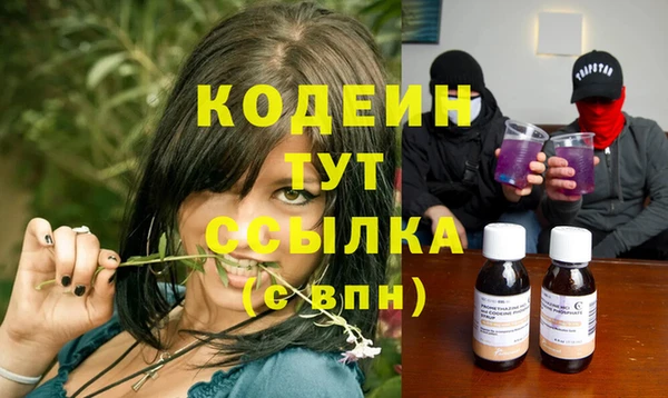 индика Гусев