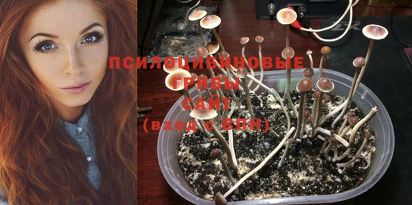 не бодяженный Гусь-Хрустальный