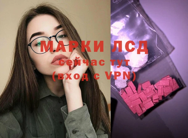 индика Гусев