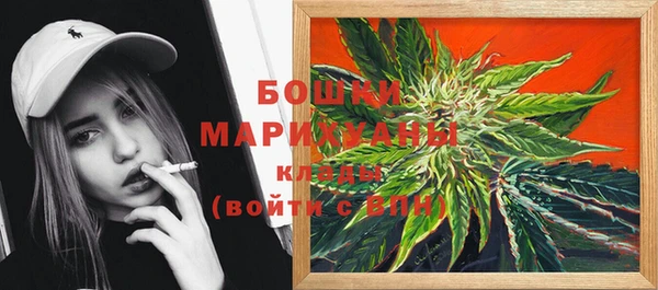 индика Гусев