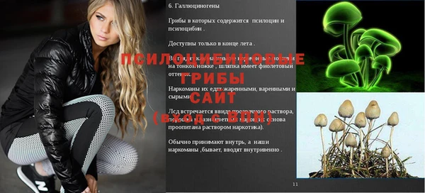 не бодяженный Гусь-Хрустальный