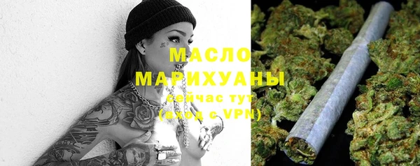 индика Гусев