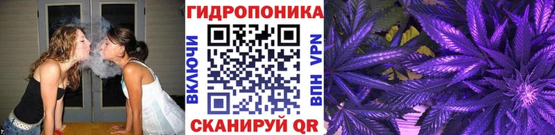 Бошки Шишки VHQ  дарнет шоп  Дмитровск 